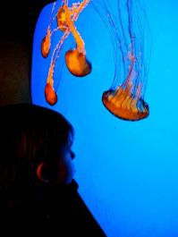 380611_10100701803801466_920410952_n