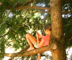 reading-in-the-tree